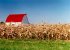 red barn