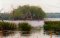 elm lake 93